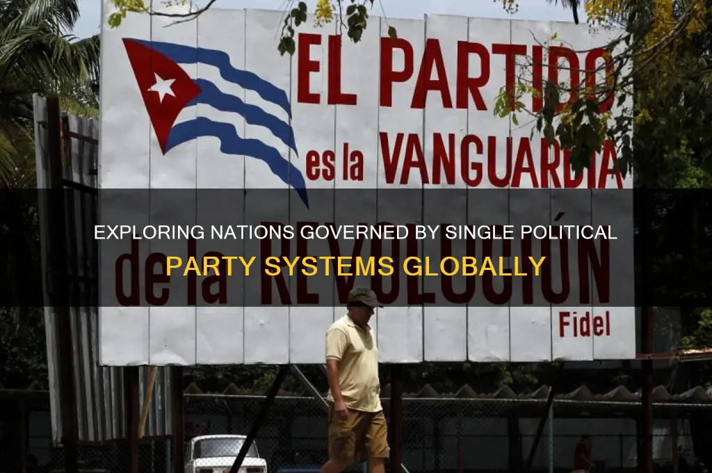 how many countries have single political party governments