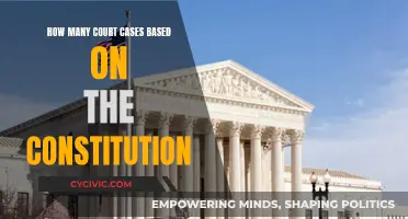 Constitutional Court Cases: A Historical Overview