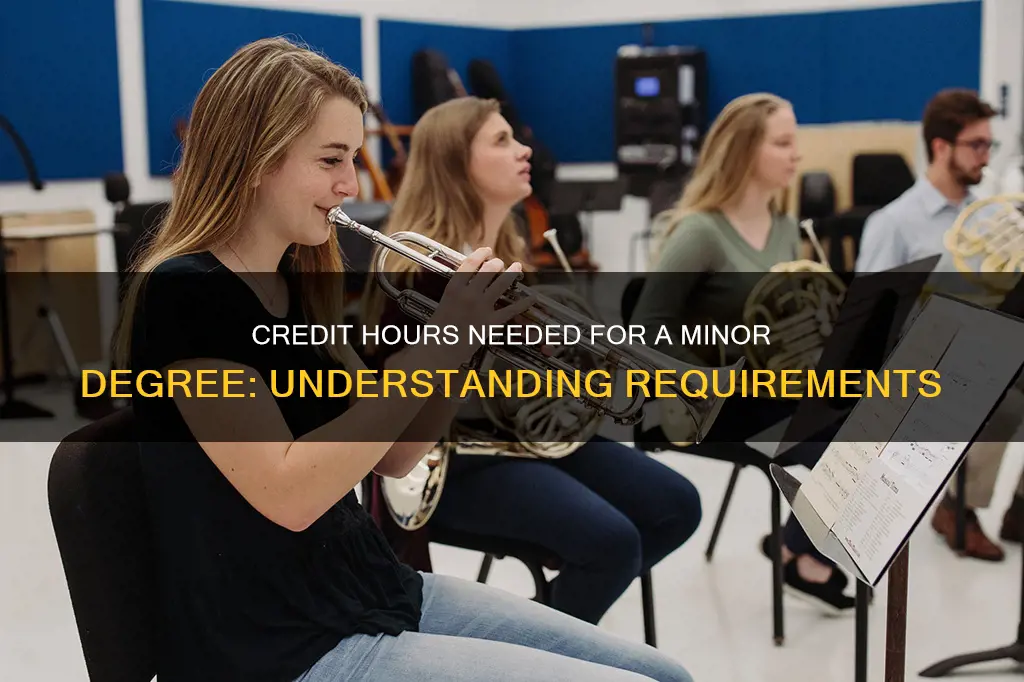 how many credit hours constitutes a minor degree