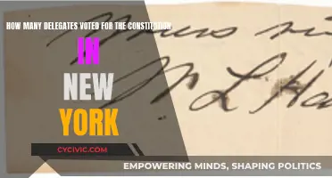 New York Delegates: Constitution Voting Outcome
