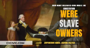 Founding Fathers, Slave Owners: A Constitutional Conundrum