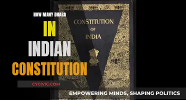 The Indian Constitution's Dhara: A Comprehensive Count