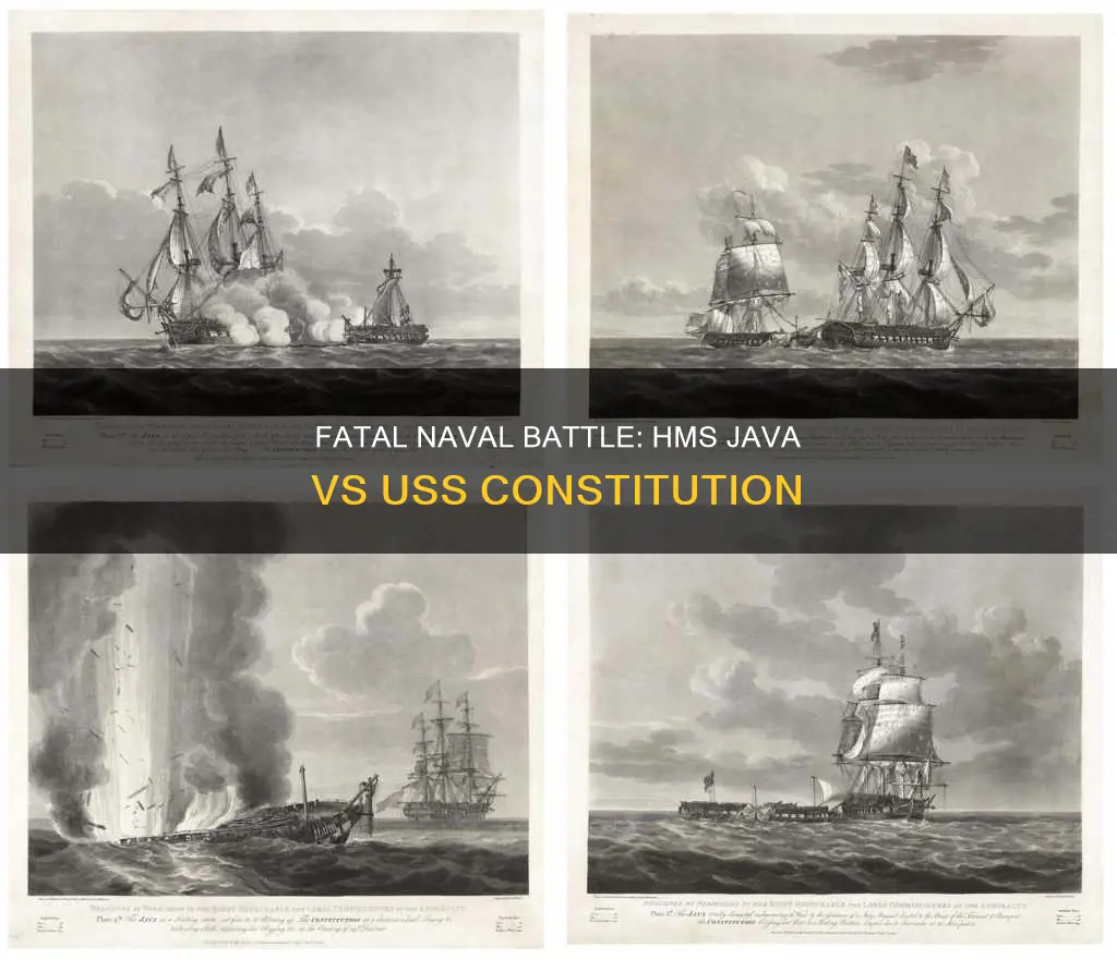 how many died aboard hms java v uss constitution