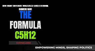 Exploring the Diverse World of C5H12 Isomers