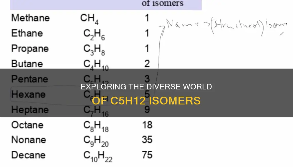 how many different molecules constitutional isomers have the formula c5h12