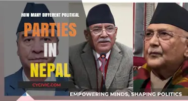 Exploring Nepal's Diverse Political Landscape: A Party Count Overview