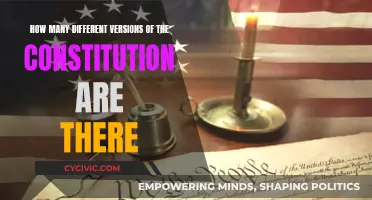 Exploring Multiple Versions of the US Constitution