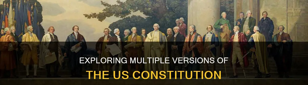 how many different versions of the constitution are there