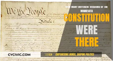 The Evolution of Minnesota's Constitution