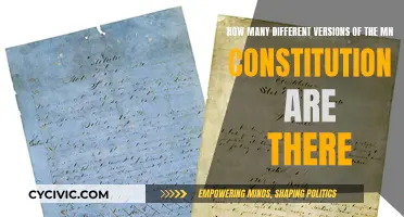 The Evolution of Minnesota's Constitution