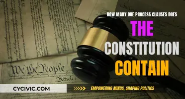 Due Process Clauses: How Many Does the Constitution Protect?