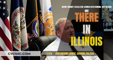 Illinois' Elected Constitutional Officers: How Many?