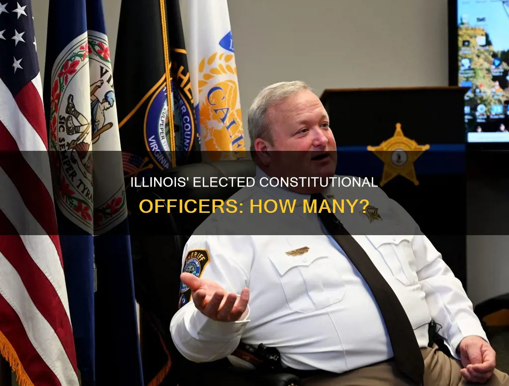 how many elected constitutional officers are there in illinois