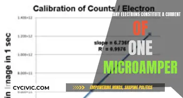 Microampere Current and Electrons: How Many?