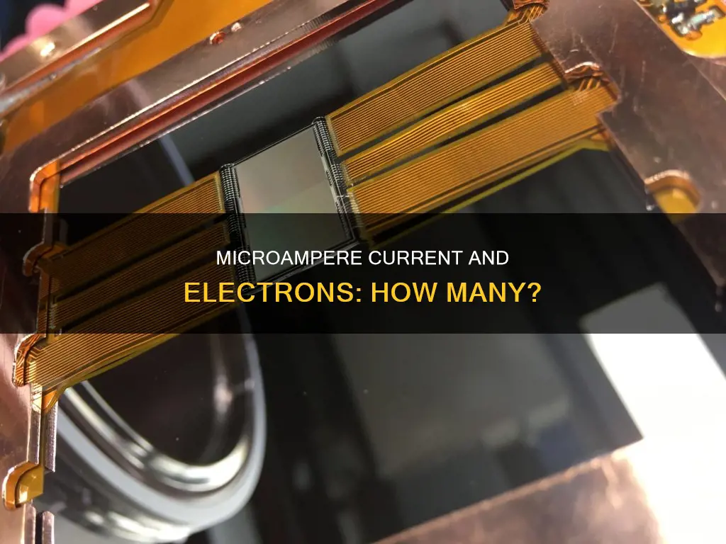 how many electrons constitute a current of one microampere