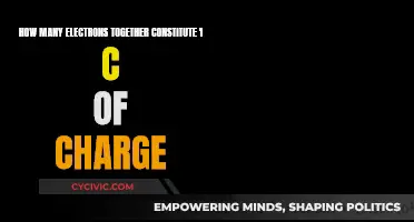 Electrons and the Fundamental Charge Unit