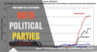 Bridging the Divide: Exploring the Political Middle Ground in America