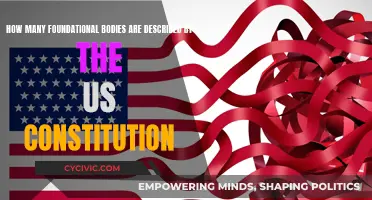 Foundational Bodies: Constitution's Core Framework