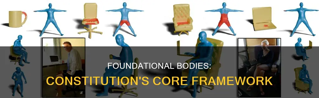 how many foundational bodies are described by the us constitution