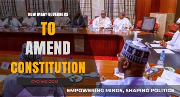 Amending the Constitution: Governors' Consensus