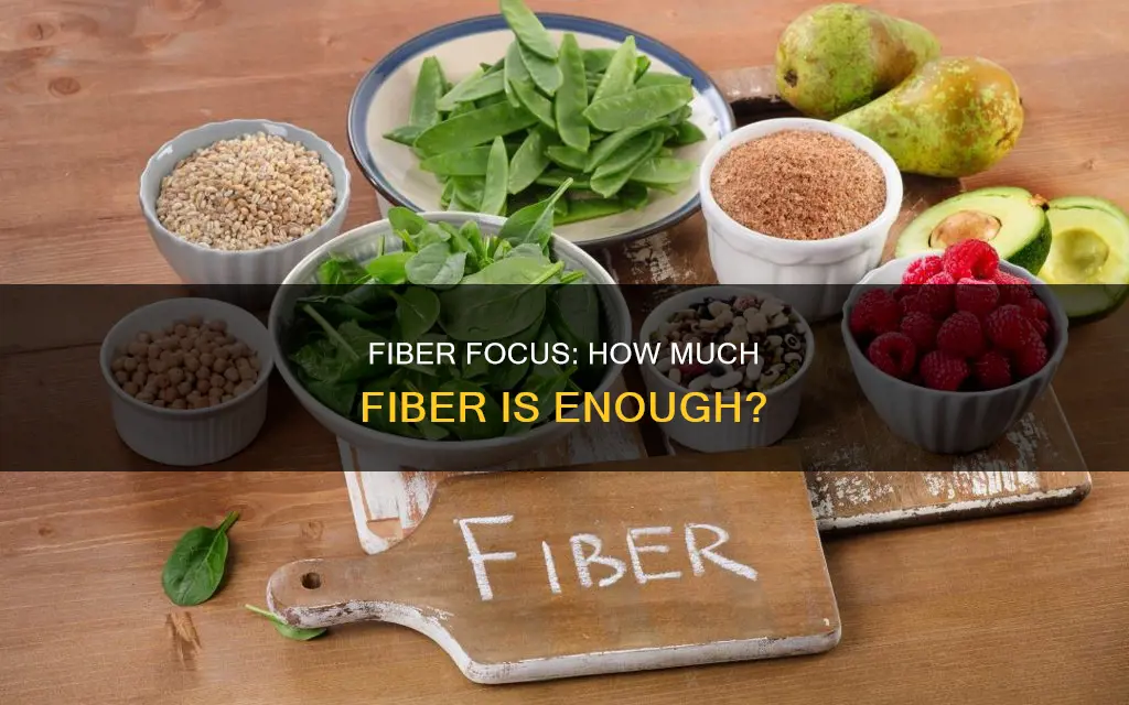 how many grams of fiber constitute a high fiber diet