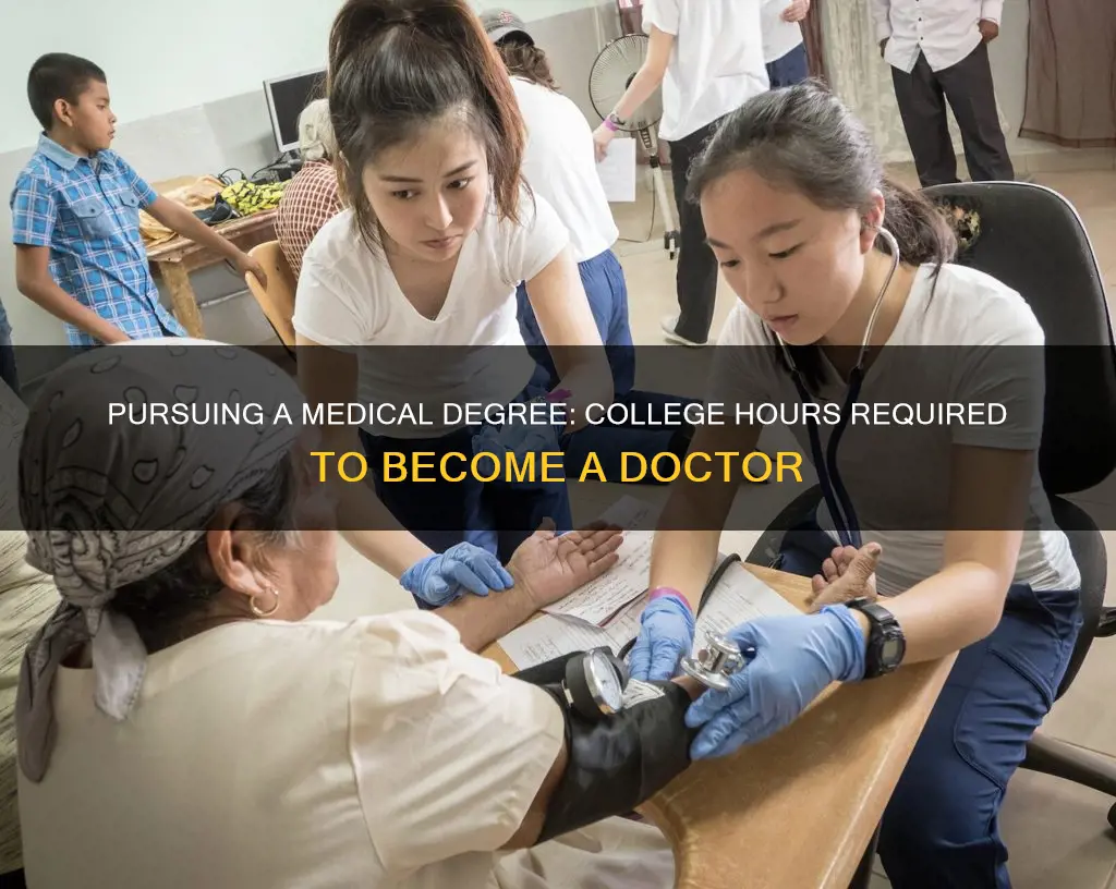 how many hours of college constitutes a doctor