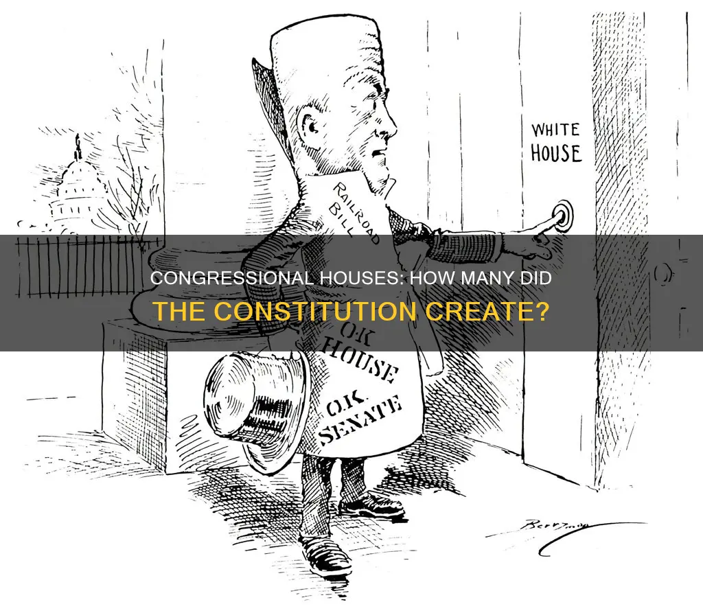 how many houses of congress did the constitution establish