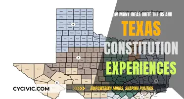 Uniting US and Texas: Constitutional Ideas and Experiences