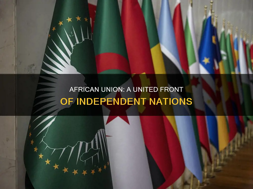 how many independent countries constitute the african union