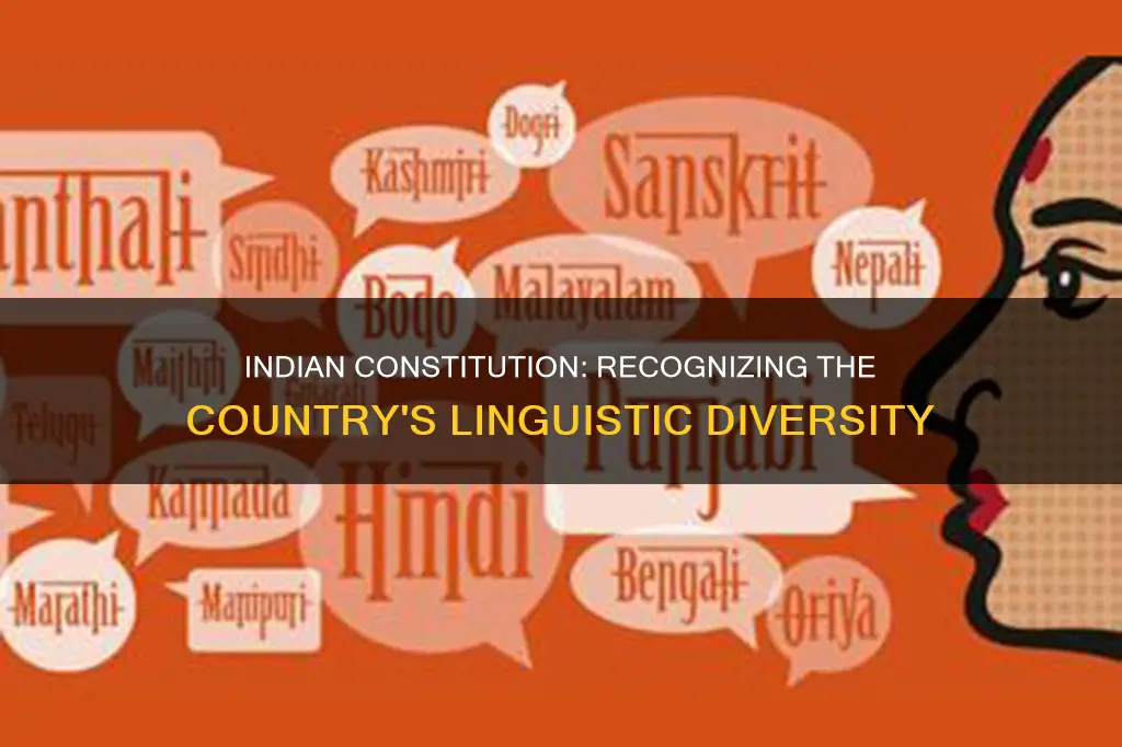 how many indian languages have been notified in the constitution