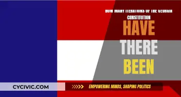 Georgia's Constitutional Evolution: Multiple Iterations Explored