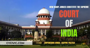 The Evolution of India's Supreme Court: Judge Count