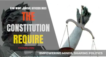 The Constitution: Judicial Officers Requirement