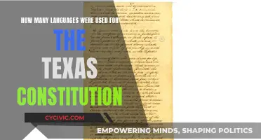 Linguistic Diversity in the Texas Constitution's Creation