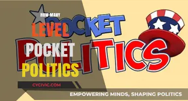 Understanding the Complex Levels of Pocket Politics: A Comprehensive Guide