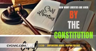 Constitutional Freedoms: Our Liberties and Their Limits