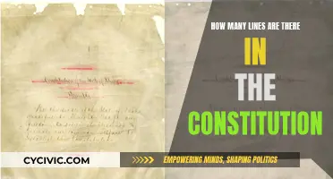 The Constitution's Lines: A Comprehensive Count