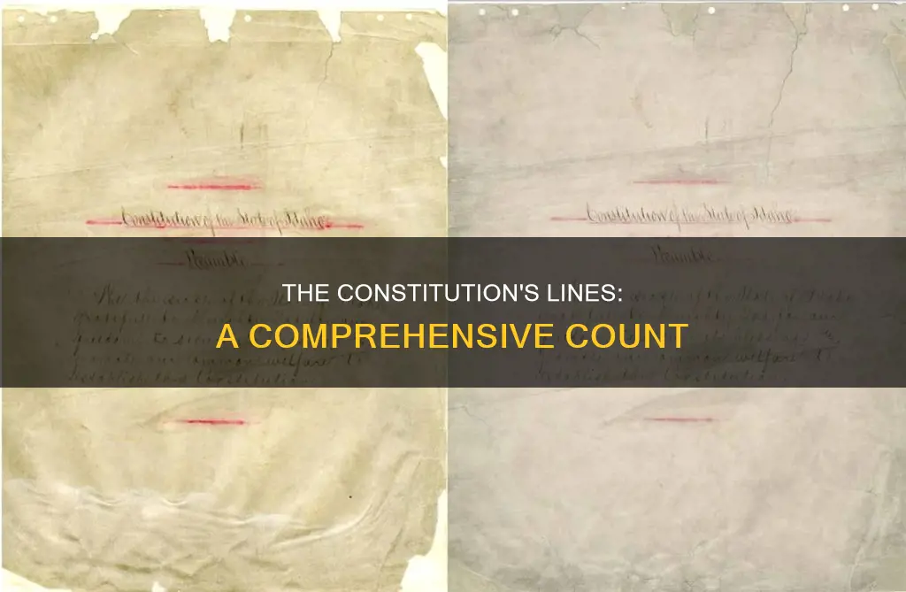 how many lines are there in the constitution