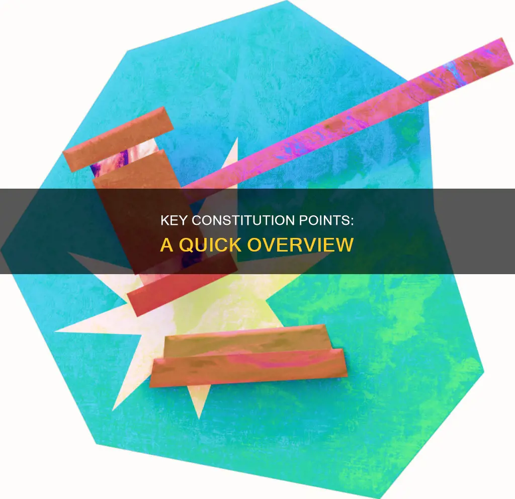 how many main points does the us constitution have