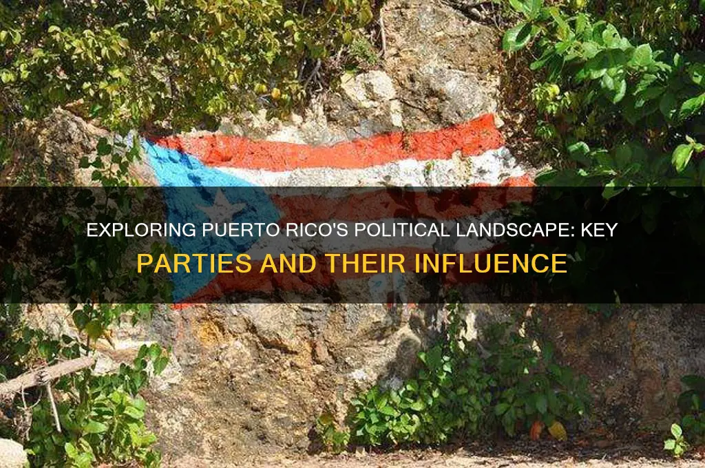 how many main political parties are there in puerto rico