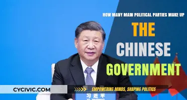Understanding China's Political Landscape: The Main Parties in Government