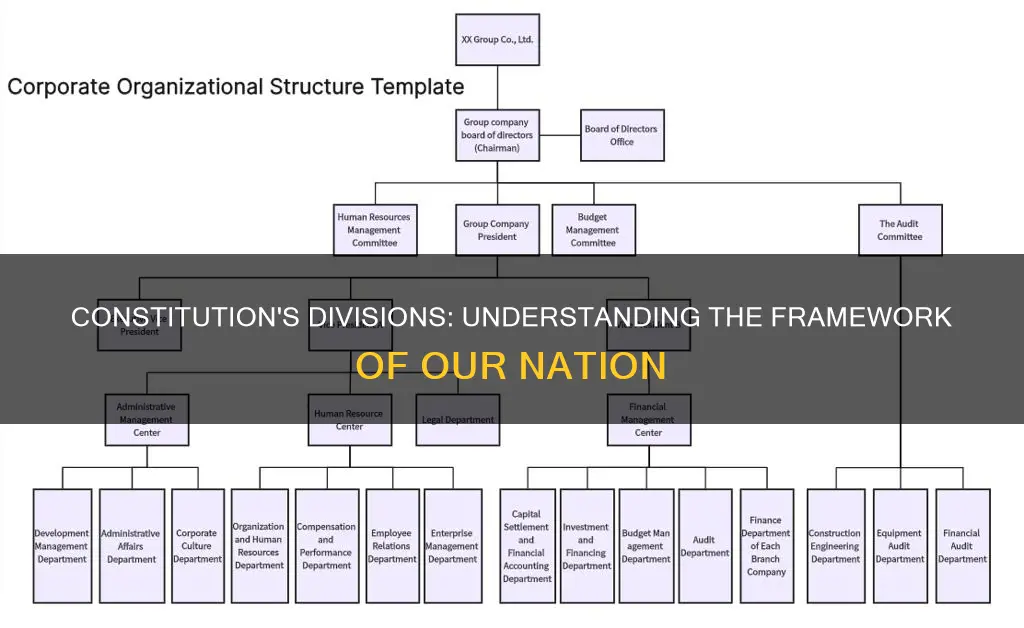 how many major divisions are there in the constitution