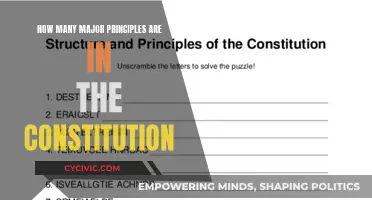 Major Principles of the Constitution: A Foundational Guide