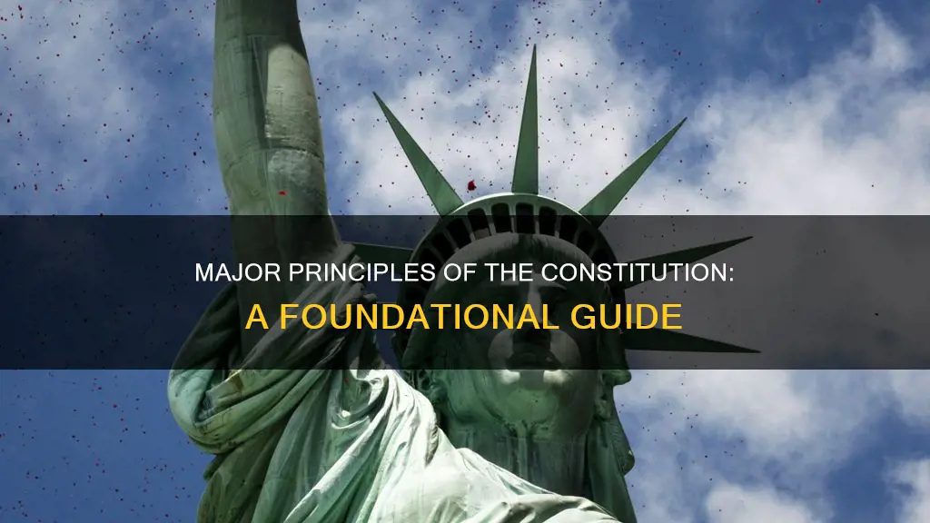 how many major principles are in the constitution
