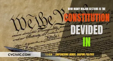 Constitution's Major Sectors: A Comprehensive Overview