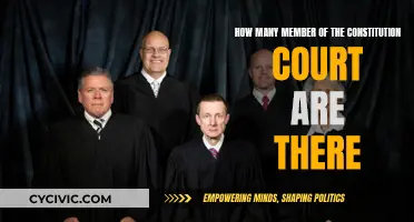 The Constitutional Court: Membership and Its Significance