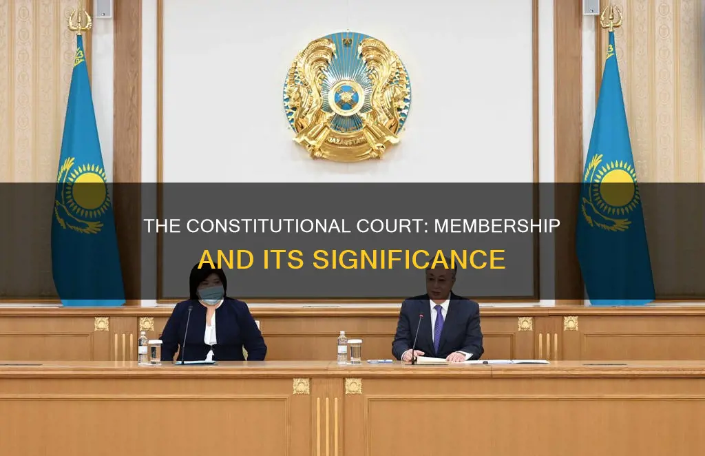 how many member of the constitution court are there