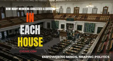 What Makes a House Quorum?