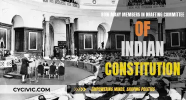 The Indian Constitution's Drafting Committee: A Small, Powerful Group