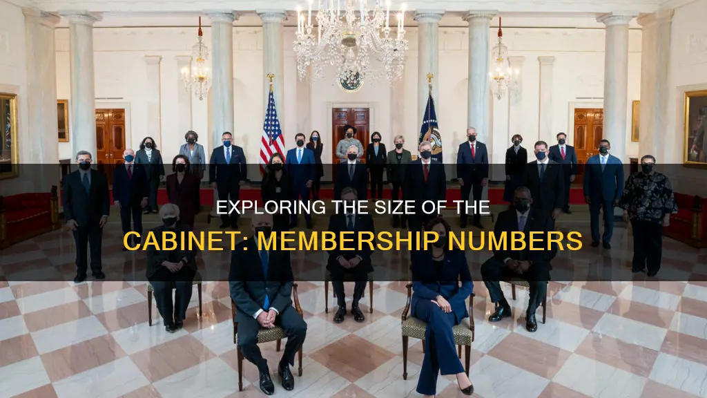 how many members of the cabinet are there